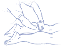 gambe