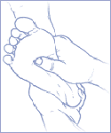 piedi