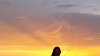 IMG-20190715-WA0080