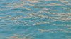 IMG-20200729-WA0066