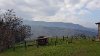 img-20210220-wa4028