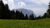 IMG-20210619-WA0011