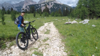 Shotcut_00_03_19_933