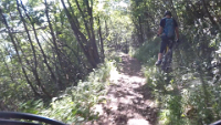 Shotcut_00_02_17_133