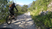Shotcut_00_03_46_700