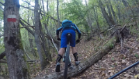 Shotcut_00_02_05_467