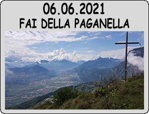 2021.06.06