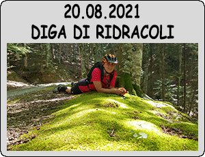 2021.08.20