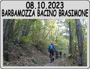 2023.10.08