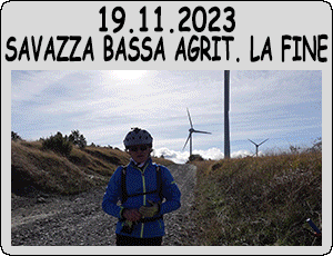 2023.11.19