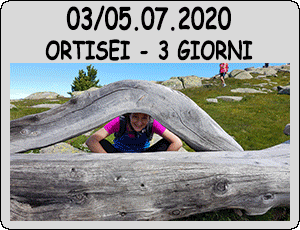 2020.07.ORT